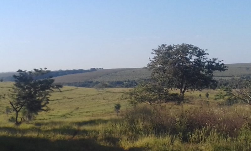 Stio - Venda - Santa Maria do Gurup - Promisso - SP