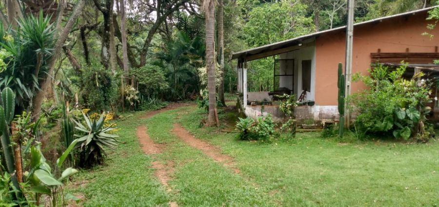 Sítio - Venda - Caí - Cabreúva - SP