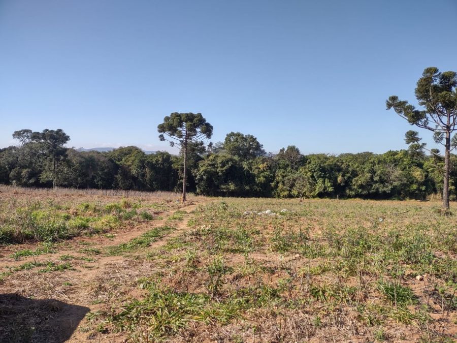 rea - Venda - Santa Eliza - Itupeva - SP