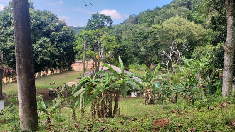 Stio - Venda - Bananal - Cabreva - SP