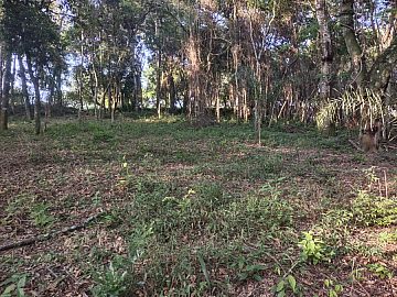 Terreno � venda no Bairro Guacuri em Itupeva SP � 3.000 m�